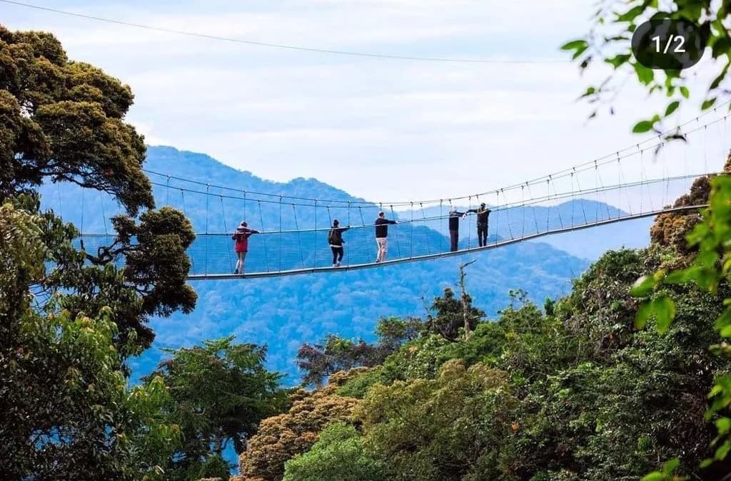 Nyungwe Canopy Adventure