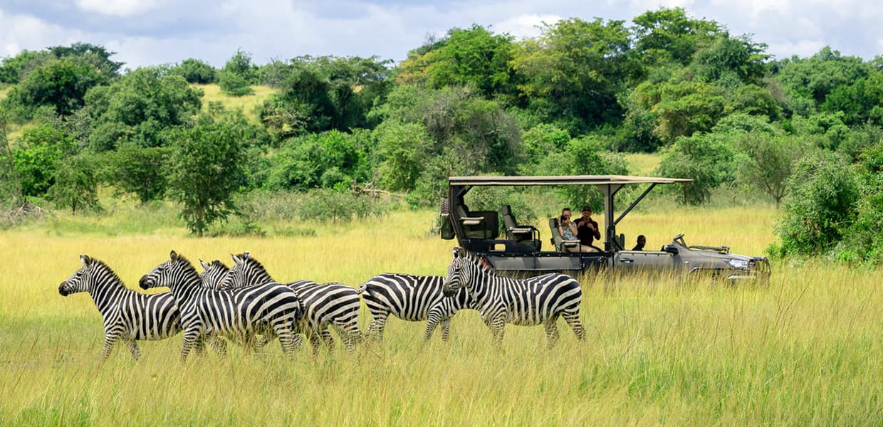 Akagera Wildlife Safari